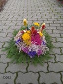 dusickova kytice lesní velká